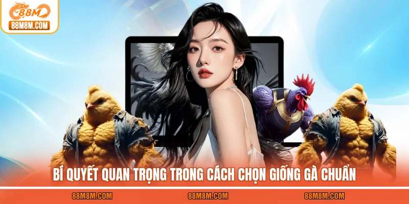 Bí quyết quan trọng trong cách chọn giống gà chuẩn