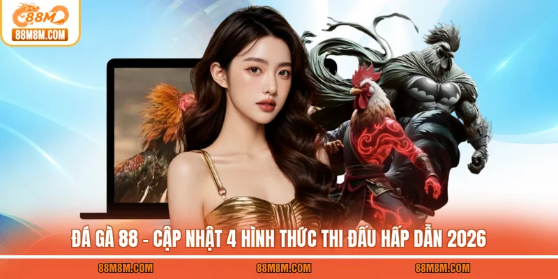 Đá Gà 88 - Cập Nhật 4 Hình Thức Thi Đấu Hấp Dẫn 2026