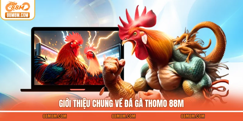 Giới thiệu chung về đá gà Thomo 88M