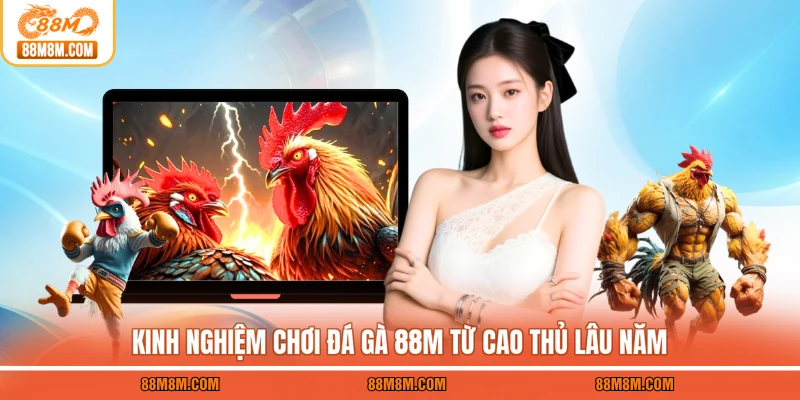 Kinh nghiệm chơi đá gà 88M từ cao thủ lâu năm
