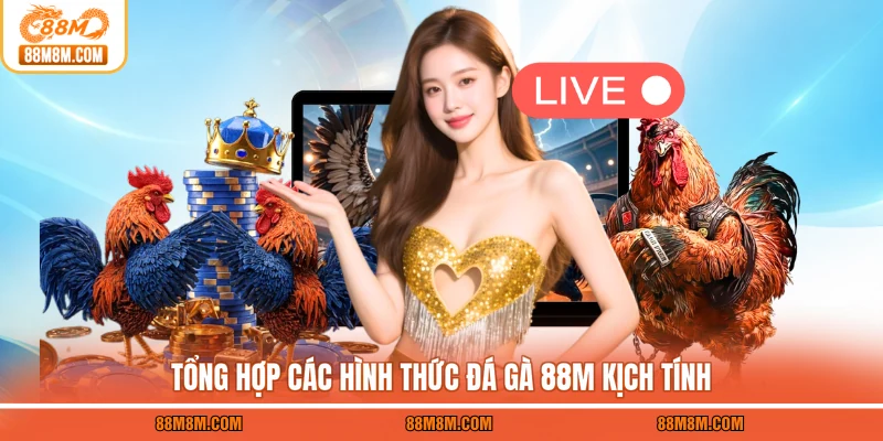 Tổng hợp các hình thức đá gà 88M kịch tính